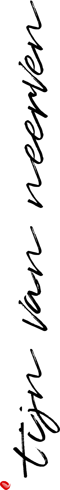 Tijn-Sign-Logo